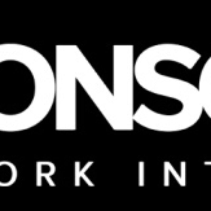 Logo von Sponsorship Network International; Repräsentation eines Netzwerks, das globale Hilfsprojekte zur Förderung von Bildung, Gesundheit und Lebensqualität ermöglicht.